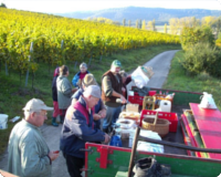 Brotzeit ist die sch�nste Zeit, auch bei der bei der Weinlese.